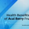 health benefits of acai berry fruit