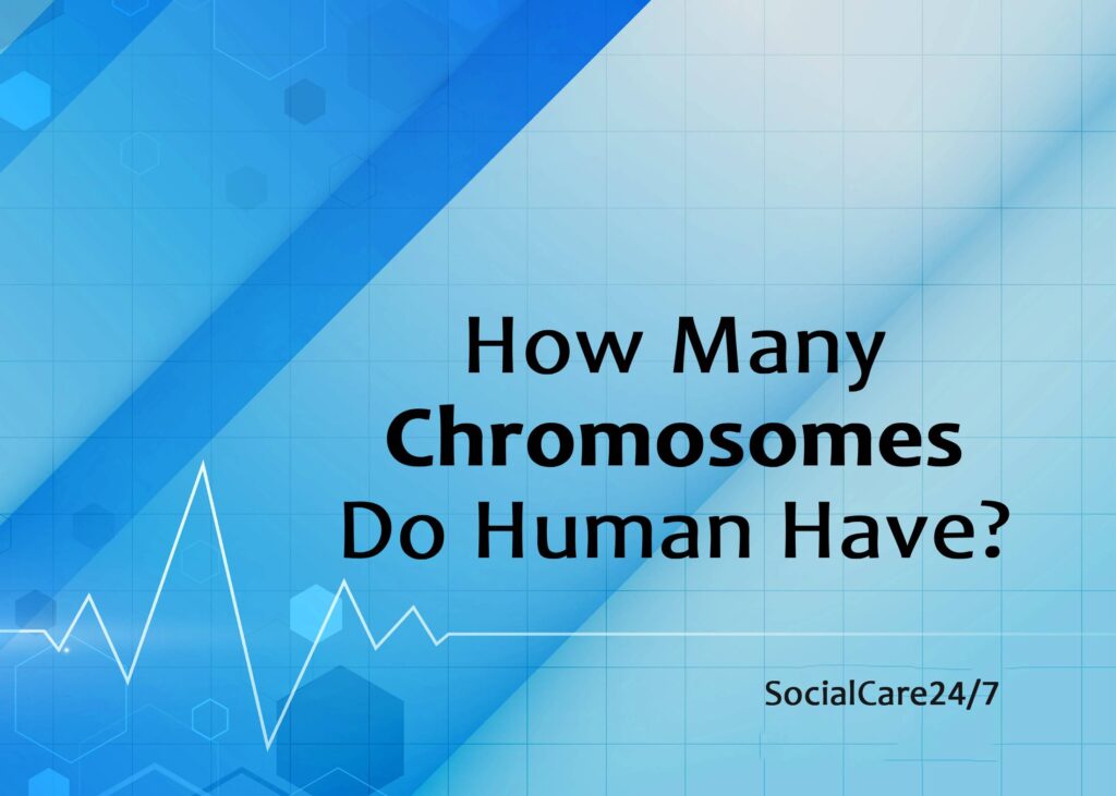 how many chromosomes do human have