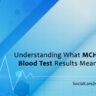 mchc blood test