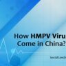 how hmpv virus come in china?