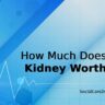 How Much Does a Kidney Worth?