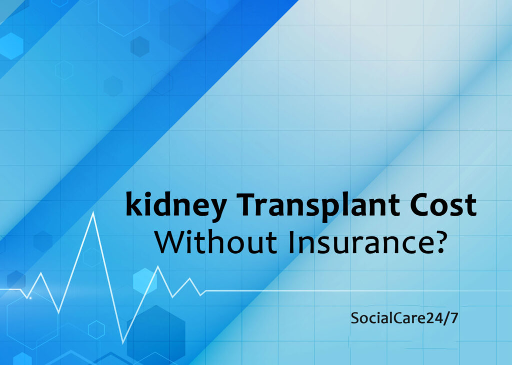 how much does a kidney worth?